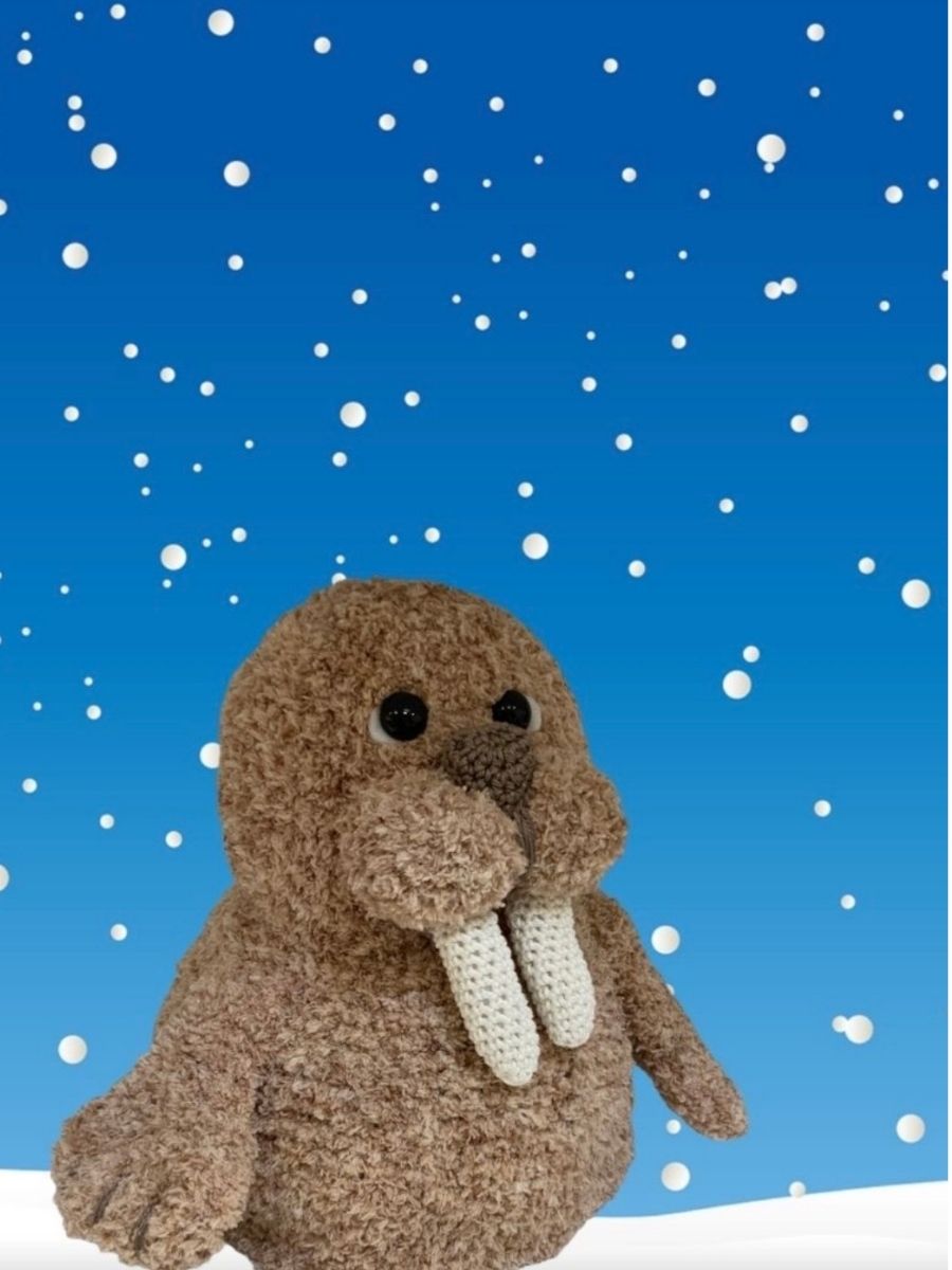 Patroon Pop-up Walrus